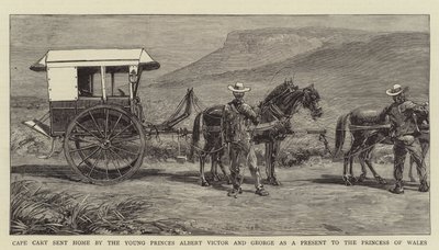Cape Cart sendt hjem av de unge prinsene Albert Victor og George som en gave til prinsessen av Wales (gravering) av English School