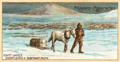 Kaptein Oates trener en sibirsk ponni (chromolitho) av English School