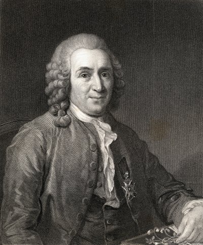 Carl von Linne eller Linnaeus (1707-78) fra Gallery of Portraits, utgitt i 1833 av English School