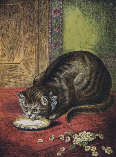 Katt som drikker melk av English School
