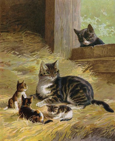 Katt med kattungene sine i en låve (chromolitho) av English School