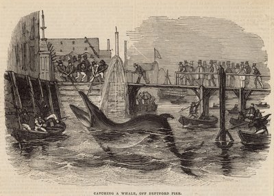 Fange en hval utenfor Deptford Pier av English School