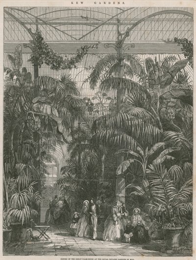 Sentrum av Great Palm House ved Royal Botanic Gardens of Kew av English School