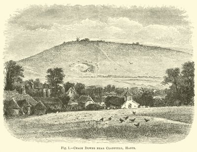 Chalk Downs nær Clanfield, Hants av English School
