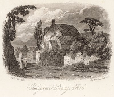 Chalybeate Spring Ford av English School