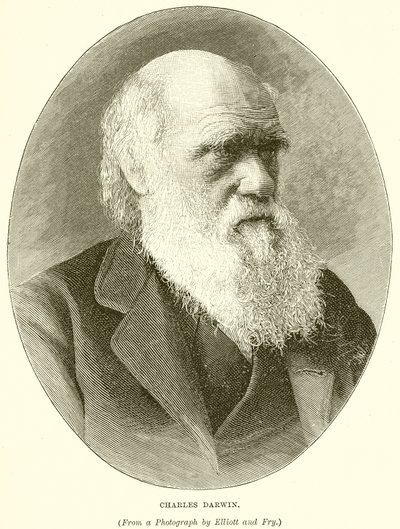 Charles Darwin av English School