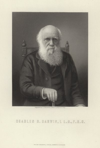 Charles R. Darwin av English School
