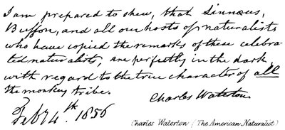 Charles Waterton (den amerikanske naturforskeren) av English School