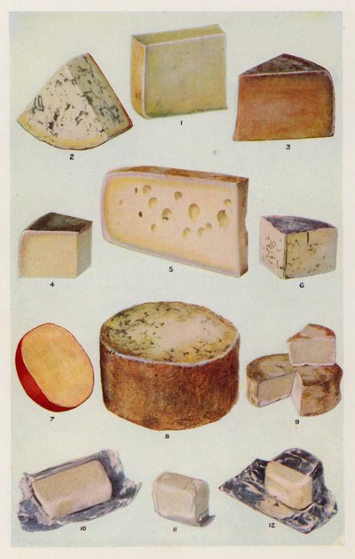 Cheddar; Gorgonzola; Double Gloster; Parmesan; Gruyère; Roquefort; Nederlandsk ost; Stilton; Camembert; St Ives; Krem (farget litografi) av English School