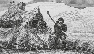 Cheviot Shepherds (gravering) av English School