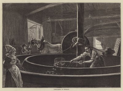 Cider-fremstilling i Normandie (gravering) av English School