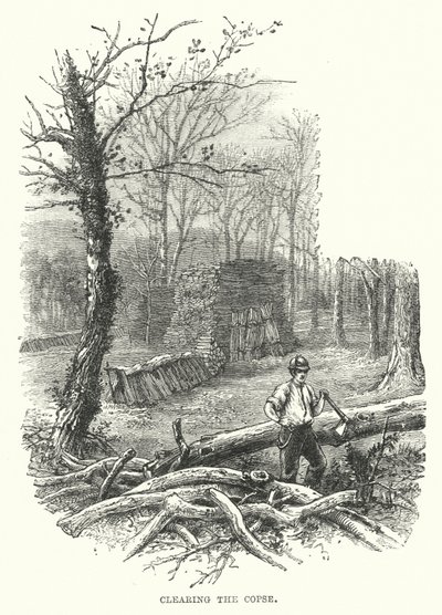 Rydd fjellet (gravering) av English School