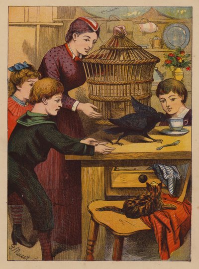 Kluge Tricks von English School