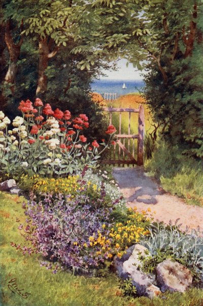 Farbe im Kräutergarten (Farblithografie) von English School