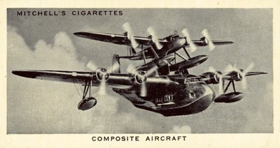 Sammensatt fly (litho) av English School