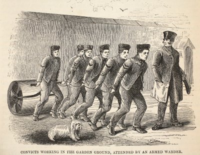 Domfelte som jobber i hageområdet, deltatt av en væpnet vaktmester, illustrasjon fra The Criminal Prisons of London og Scenes from Prison Life av Henry Mayhew og John Binny, pub. 1862 av English School