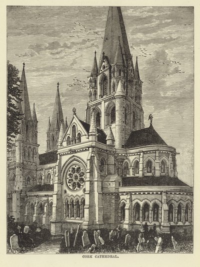 Cork katedral av English School