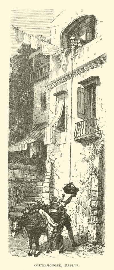 Costermonger, Napoli av English School
