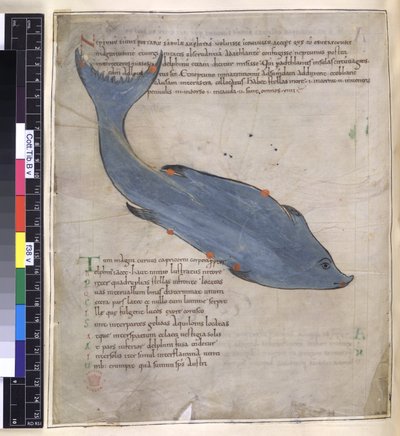 Cotton Tiberius B. V, Del I fol.38v Konstellasjonen Delphinus fra 