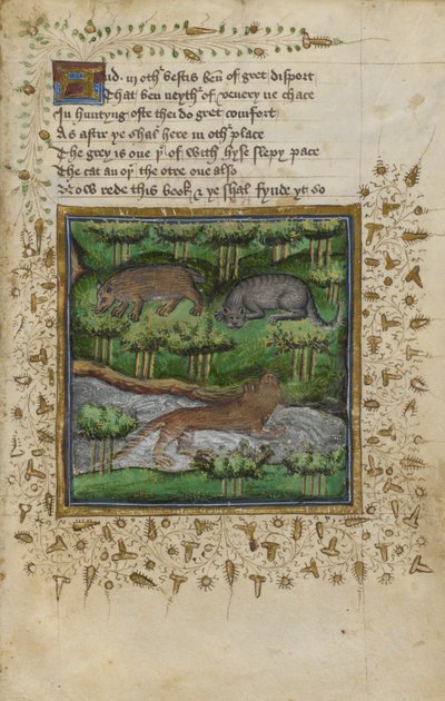 Bomull Vespasian B. XII, f.4 Illustrasjon av en grevling, villkatt og oter; med vers, fra en 