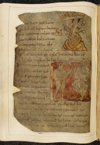 Cotton Vitellius A. XV f.103v, Et tre som det vokser balsam fra; en donestre, en beisthodet mann, til venstre som holder et menneskelig ben og fot, og en person til høyre, illustrasjon fra Beowulf, fra 