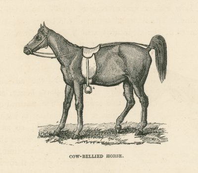 Kubukhest (gravering) av English School