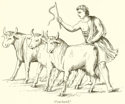Ku-Herd av English School
