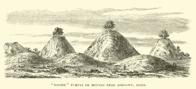 Danske Tumuli eller Mounds nær Ashdown, Essex av English School