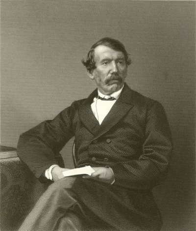 David Livingstone av English School