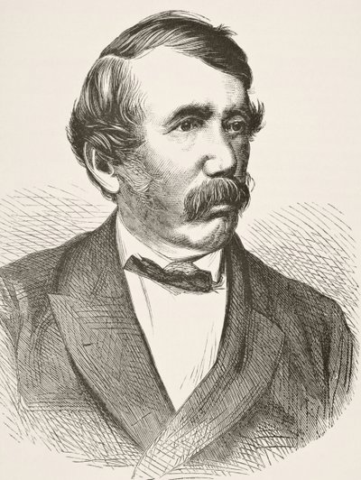 David Livingstone, fra 