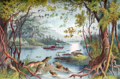 David Livingstones skip The Ma-Robert på Zambezi-elven, Afrika, under hans Zambezi-ekspedisjon på 1800-tallet. Fra The Life and Explorations of Dr. Livingstone publisert ca. 1875. av English School