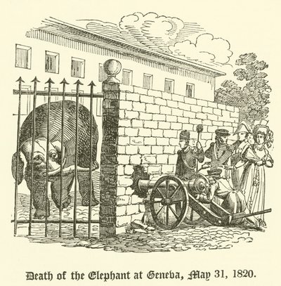 Elefantens død i Genève, 31. mai 1820 av English School
