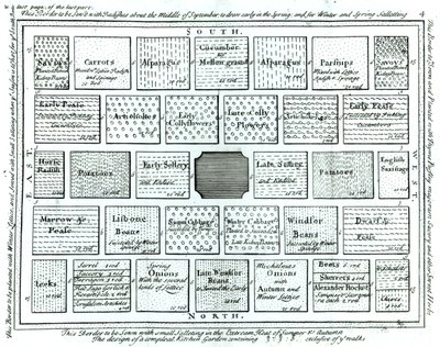 Design for en komplett kjøkkenhage, fra New Principles of Gardening, av Betty Langley, 1726 av English School
