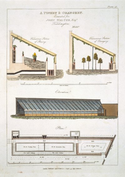 Design for et Pinery and Orangery i Teddington, 1806 av English School