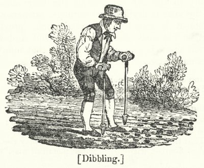 Dibbling av English School