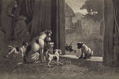 Hund (chromolitho) av English School