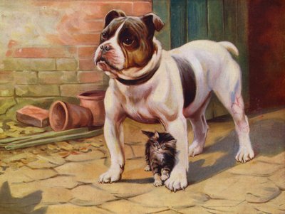 Hund og kattunge (farge litho) av English School