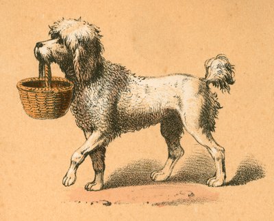 Hund mit Korb von English School