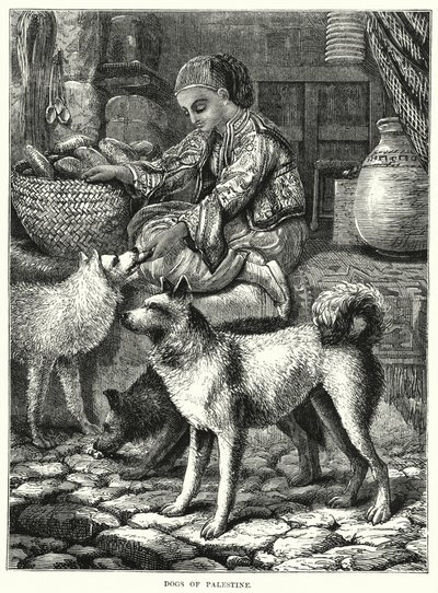 Dogs of Palestine (gravering) av English School