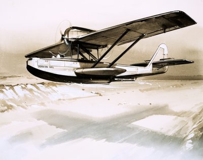 Dornier Wal, tomotors tysk flybåt av English School