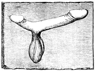 Dobbel fallus fra overliggeren til et vomitorium (utgangspassasje) ved Nimes (Colonia Nemausus) amfiteater av English School