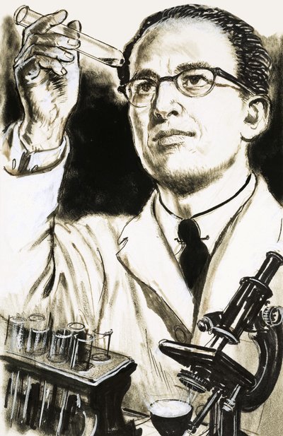 Dr Jonas Salk, skaperen av poliovaksinen, ser på et reagensrør av English School