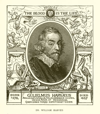 Dr. William Harvey av English School