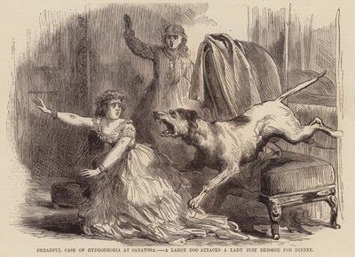 Fryktelig tilfelle av hydrofobi i Saratoga, en stor hund angriper en dame som nettopp har kledd seg til middag (gravering) av English School