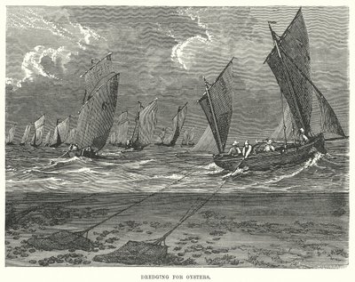 Mudring etter østers (gravering) av English School