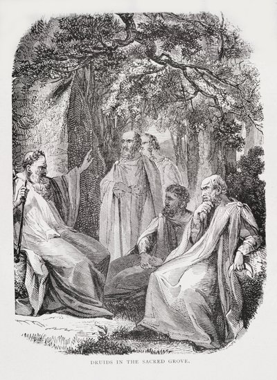 Druids in the Sacred Grove, fra The History of France, av Emile de Bonnechose, utgitt av Ward, Lock and Co, London av English School