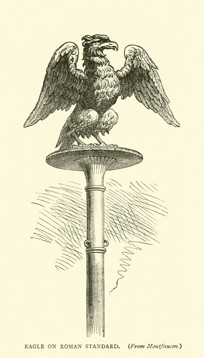 Eagle på Roman Standard av English School