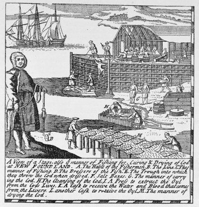 Early Fishing Stages, illustrasjon fra bind IV av 'Narrative and Critical History of America', 1886 av English School