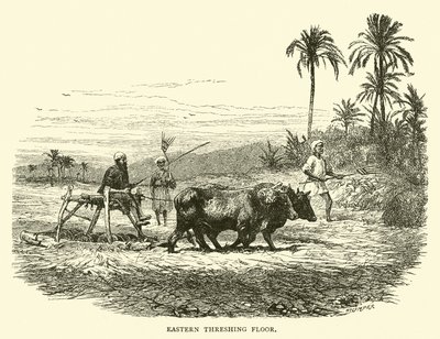 Østre treskeplass av English School