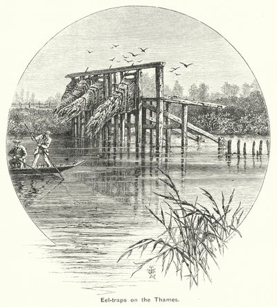 Aalfallen auf der Themse (Gravur) von English School